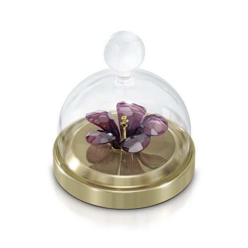 Swarovski glass cloche «Garden Tales - Hibiscus» (маленький)